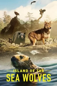 Смотреть онлайн сериал Волки острова Ванкувер