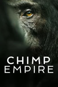 Смотреть онлайн сериал Империя шимпанзе
