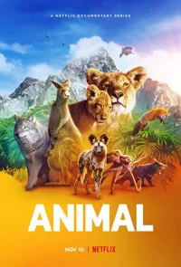 Смотреть онлайн сериал Удивительные животные