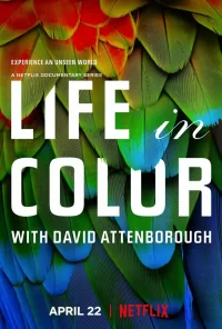 Смотреть онлайн сериал Жизнь в цвете с Дэвидом Аттенборо