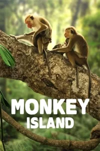 Смотреть онлайн сериал Остров обезьян