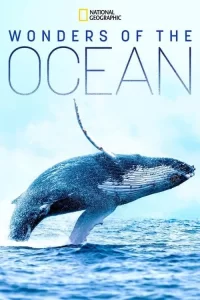 Смотреть онлайн сериал Чудеса океана